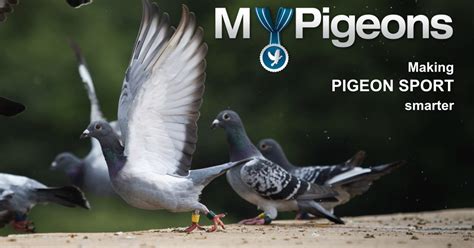 Telabastagan Racing Pigeon Club.